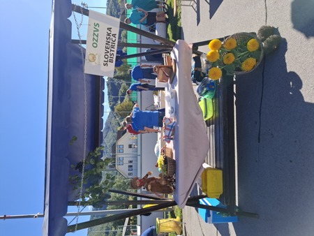 stojnica 